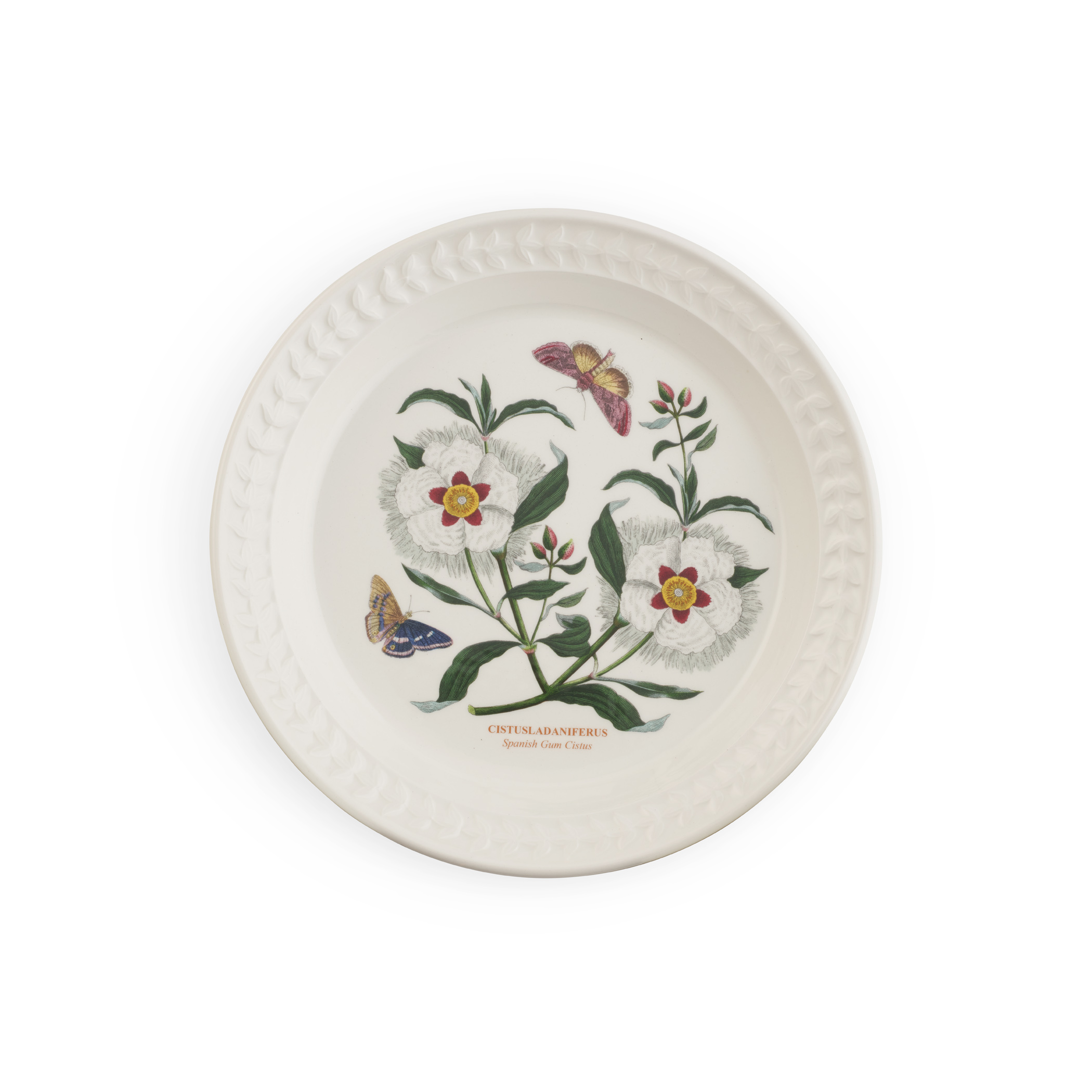 Botanic Garden Harmony Papilio Amethyst 8.5 Inch Salad Plate (Spanish Gum Cistus) image number null